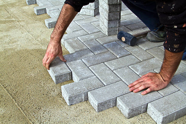 Best Driveway Paving Contractor  in Purvis, MS